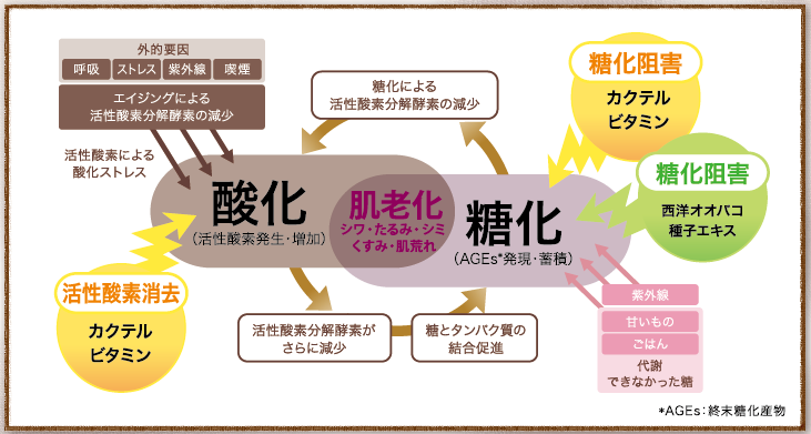 K S Cafe ドクターケイ 公式 オンラインショップ ドクターズコスメならおとなの毛穴 ドクターケイ